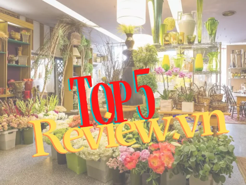 Top5review